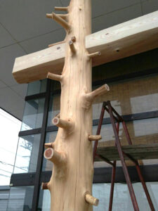 まどか保育園　入口